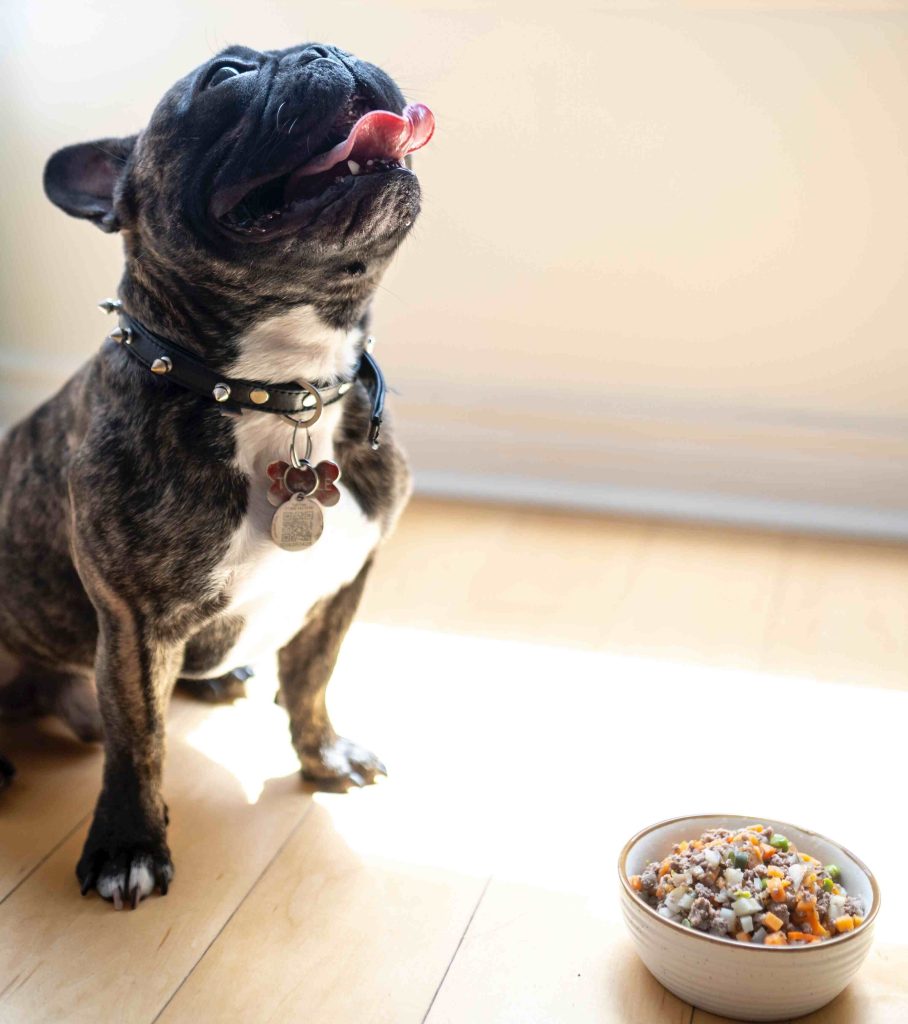 how to add grains to dog food